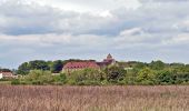 Tour Wandern Ballainvilliers - GRP CV-IDF 2023 - Photo 4