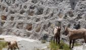 Tour Wandern Tende - lac de l agnel - Photo 2