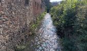 Tocht Stappen Stavelot - stavelot adeps 15km  01-09-2024 - Photo 10