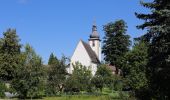 Tocht Te voet Gemeinde Großdietmanns - Wirlgraben Route - Photo 5