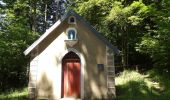 Excursión Senderismo Masevaux-Niederbruck - SityTrail - Masevaux-Chateau de Rougemont-Chapelle Ste Catherine  - Photo 2