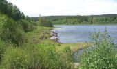 Percorso A piedi Ilmenau - Rund um den Stausee Heyda - Photo 8