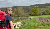 Trail  Montmort-Lucy - Dag 4 Lucy - Abbaye Notre Dame du Reclus - Photo 1