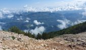 Trail Walking Bédoin - du chalet renard au sommet du ventoux - Photo 17