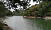 Excursión Senderismo Lac de la Haute-Sûre - Autour du lac D'Esch sur Sûre  - Photo 9