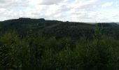 Trail Horseback riding Bouillon - Dohan - Photo 3