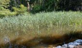 Randonnée Marche Fleurus - forêt des loisirs Fleurus - Photo 8