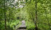 Tour Wandern Jalhay - moulin Thorez . pont du centenaire / aller via la hoêgne  / retour via ravel Sart station  - Photo 4