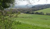 Tour Zu Fuß East Hampshire - Long Woodland Trail - Photo 2