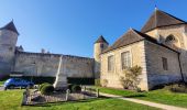 Randonnée Marche Blandy - Boucle autour de Blandy par Corinne  - Photo 17