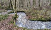 Tour Wandern Vaucouleurs - 2023-04-05_22h40m59_20230119_VAUCOULEURS_rando_LL_Vaucouleurs_Chalaines_Burey-en-Vaux(1) - Photo 4