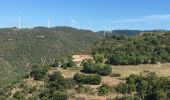 Randonnée Marche Joncels - Joncels - Circuit des Buis par Lunas - Photo 2