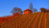 Tour Zu Fuß Knittlingen - Panorama-Rundwanderweg Freudenstein-Hohenklingen - Photo 6