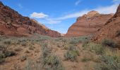 Tour Wandern Unknown - 2024 Vermillon Cliffs Edmaiers trail - Photo 7