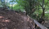 Tocht Stappen Stavelot - stavelot adeps 15km  01-09-2024 - Photo 6