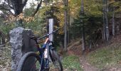 Tocht Mountainbike Masevaux-Niederbruck - Le rossberg 20 10 2021 - Photo 1