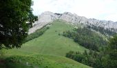 Tour Wandern Saint-Pierre-de-Chartreuse - Col de la Ruchère-2022-06-01 - Photo 3