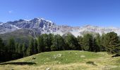 Trail On foot Stilfs - Stelvio - IT-25 - Photo 6