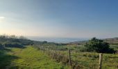 Trail Walking Condette - Condette 31 Octobre 2024 - Photo 1
