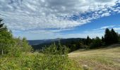 Randonnée Marche Gex - Balade à Col de la Faucille, Gex - Photo 8