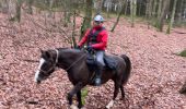 Trail Horseback riding Bastogne - Tripoux décembre 2022 - Photo 5