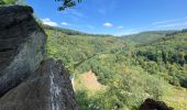 Trail Walking Bouillon - Lés échelles de Rochehaut - Photo 3