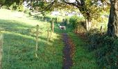 Tocht Stappen Blieberg - Henri Chapelle Aubel Clermont  - Photo 2