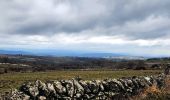 Tour Wandern Condom-d'Aubrac - Condom_Aubrac_Enguilhems - Photo 1