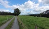 Tocht Stappen Houffalize - rando engreux 14-09-2024 - Photo 1