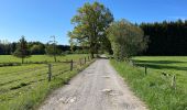 Randonnée Marche Libramont-Chevigny - Bras - Photo 3