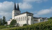 Tour Zu Fuß Geisenheim - Geisenheimer Rundweg J - Photo 3