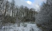 Tocht Stappen Eijsden-Margraten - Eijsden - Oost-Maarland - Eijsder Beemden  - Photo 3