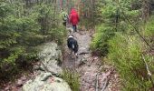 Tour Wandern Weismes - Brasserie Peak 10 Km - Photo 6