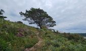 Randonnée Marche Trébeurden - 2024 RA J4 Bretagne costamoricaine  - Photo 10