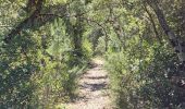 Trail Walking Le Triadou - tour triadou, st Jean de cuculles - Photo 4