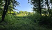 Trail Walking Fleury - en Forêt de Retz_92_05_2022_Rond d'Orléans_Chapeau des Cordeliers_la Laie des étangs de Longpont - Photo 3