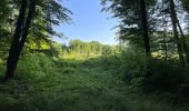 Tour Wandern Fleury - en Forêt de Retz_92_05_2022_Rond d'Orléans_Chapeau des Cordeliers_la Laie des étangs de Longpont - Photo 3