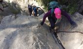Trail Walking Ollioules - Destel azur  - Photo 17