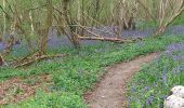 Randonnée Marche Nassandres sur Risle - Nassandres - Photo 1