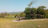 Trail Walking Bissey-sous-Cruchaud - idem . - Photo 2