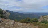 Tocht Stappen Argelès-sur-Mer - massane - Photo 9