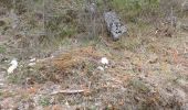 Percorso A piedi Jonchères - montagne de  Praloubeau - Photo 4