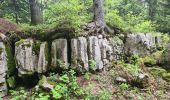 Tocht Stappen Autrans-Méaudre en Vercors - autrans - Photo 19