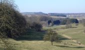 Tour Zu Fuß Käerjeng - Auto-Pédestre Clemency 1 - Photo 8