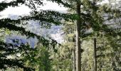 Tocht Stappen Vianden - Randonnée au  Natuurpark à partir de Vianden - Photo 12