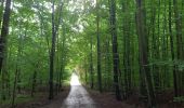 Tocht Stappen Watermaal-Bosvoorde - 2020.10.05.P - Photo 3