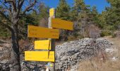 Tocht Stappen Bédoin - Beboin la combe de Curnier - Photo 12