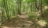 Trail Walking Entrelacs - 30-08-2022 La Chambotte - Croix de Meyrieu - Photo 1