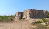 Tour Wandern Leucate - la franqui . phare de leucate .. retour via la falaise - Photo 11