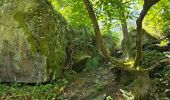 Trail Walking Milly-la-Forêt - Milly-la-Forêt - Forêt domaniale des Trois pignons - Curiosités  - Photo 6